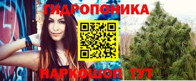 гашик Гулькевичи